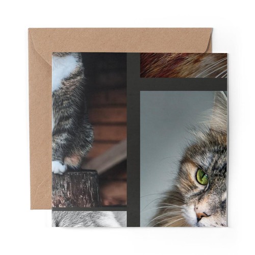 Blank greeting card - 1,