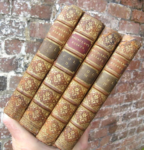 1895 antique leather - antique,