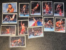 WWF 1995 Panini German