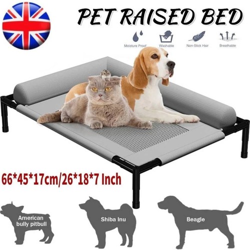 Orthopaedic elevated pet - elevated, dog