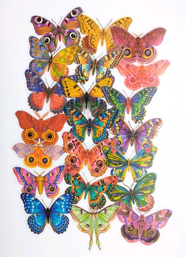 Butterfly stickers 50x - butterfly,