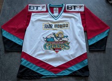 Belfast giants ireland eihl - belfast,