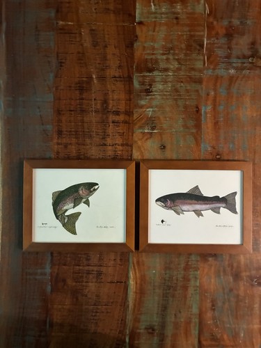 Vintage terri blehm - vintage, trout