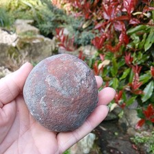 Fossil Crinoid Float
