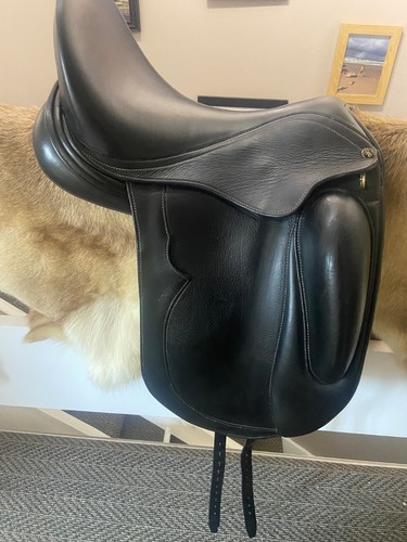 Stride free dressage - stride,