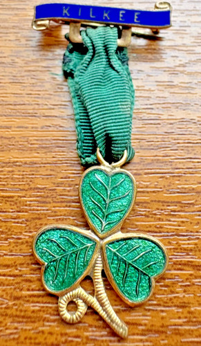 Kilkee shamrock enamel - kilkee,