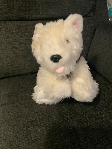 Scotty dog teddy soft toy - scotty,