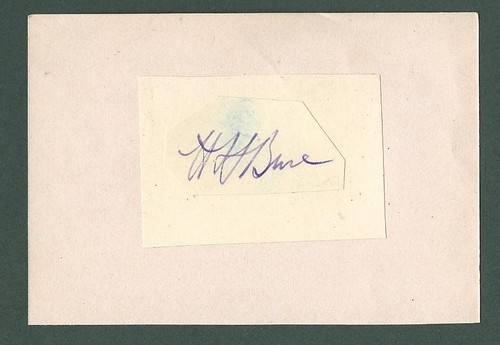 Bertie buse somerset ccc - somerset,