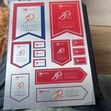 Vintage NORTHWEST AIRLINES Foil Sticker LUGGAGE DECAL 50 years