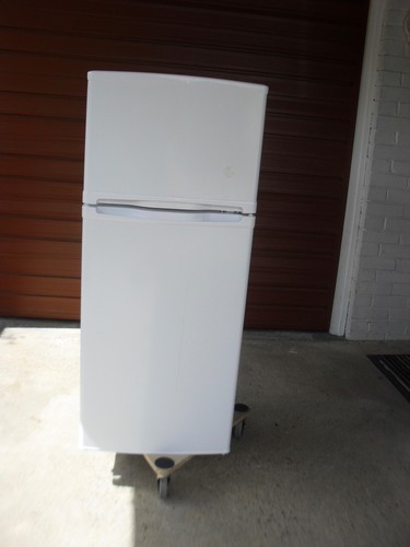 Fridge freezer essential - fridge,