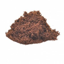 Loose Coir Coco Fibre - READY TO USE - Reptile Spider Substrate Humus Terrarium