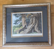 Dog, Cock and Fox (Aesop's