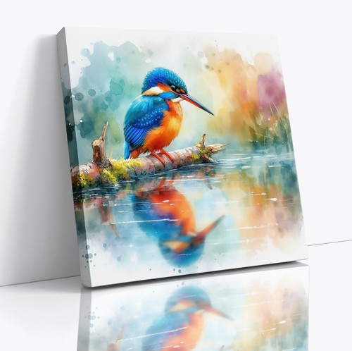 Kingfisher bird river - river, bank