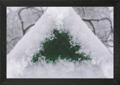 Frozen framed wall art poster - framed,
