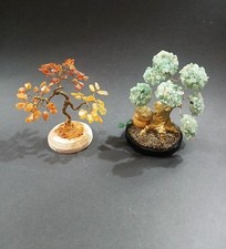Two asian amber - and, lucky