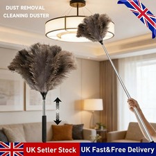 Retractable Feather Duster