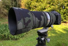 Canon RF 100 500mm f4.5 7.1 L