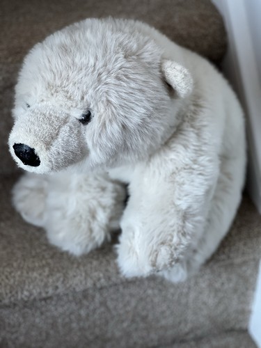 Keel toys russ polar - toys, life