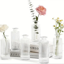 Set of 12 Glass Bud Vase