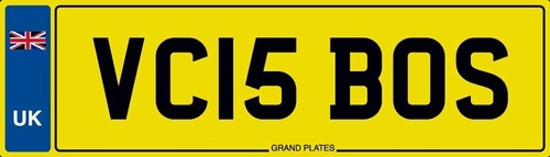 Boss number plate - vc,