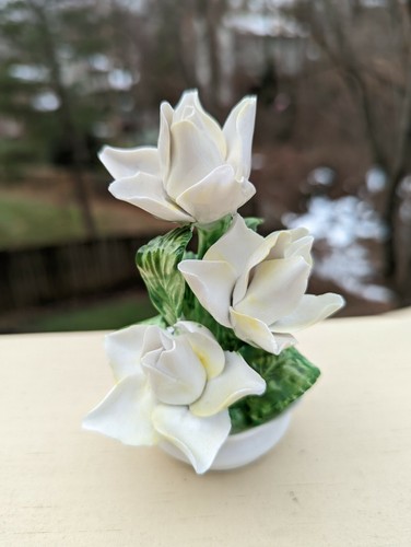 Vtg radnor staffordshire - hb,