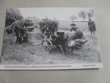 POSTCARD - WOMENS LAND ARMY  - WORLD WAR TWO - THATCHMAKING - WOMEN - SUSSEX