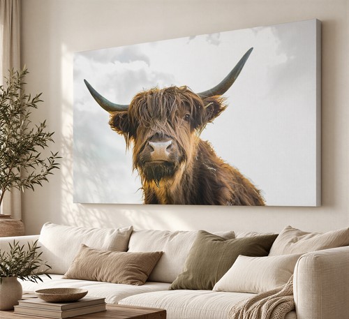 Highland cow canvas print - highland,