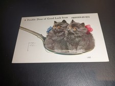 Artist Drawn, Black Cat