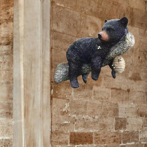 Bear cub tree hugger - bear,