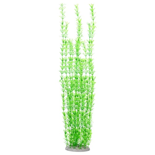 Pack tall aquarium - 1-pack,