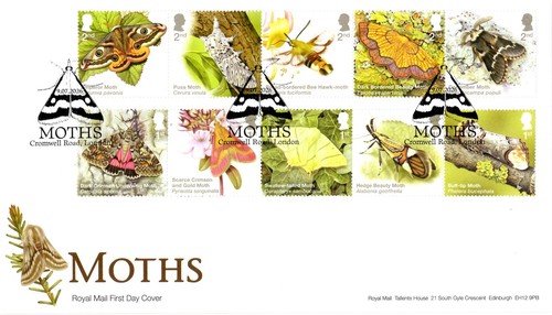 2026 moths first - first, day