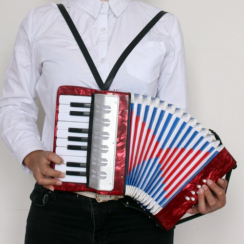 Toy accordion with celluloid - toy,