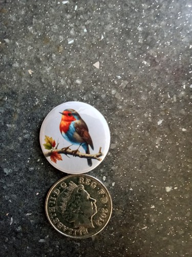 Handmade badge robin - badge, see