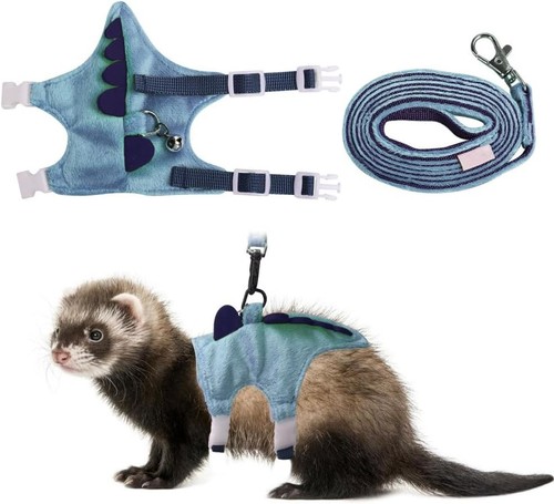 Ferret harness and leash set - ferret,