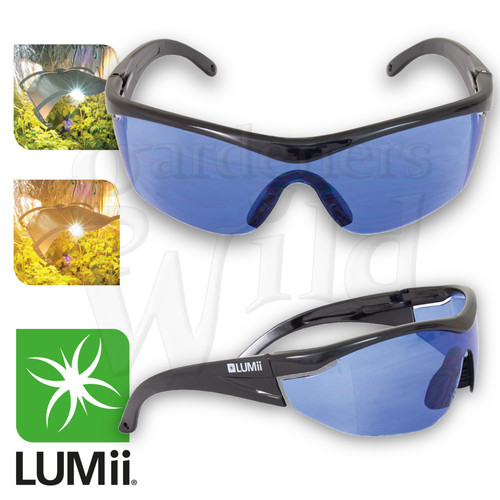 Lumii grow room - lumii, hps
