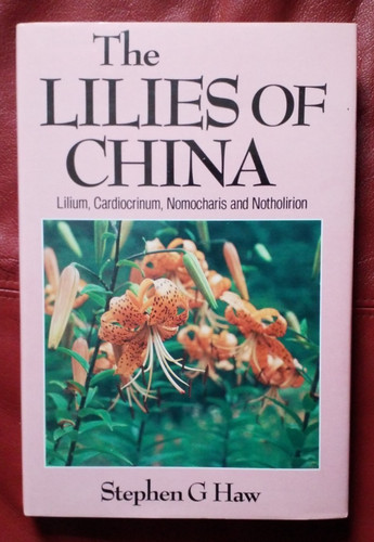 The lillies china lilium - lillies, china: