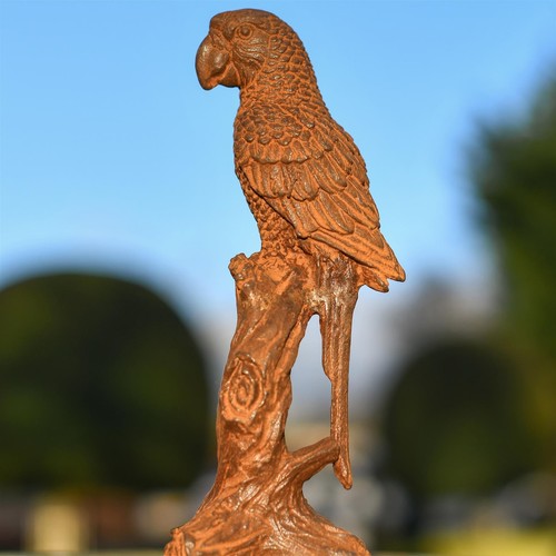 Parrot branch garden - on, branch"