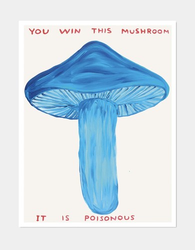 David shrigley you win - david,