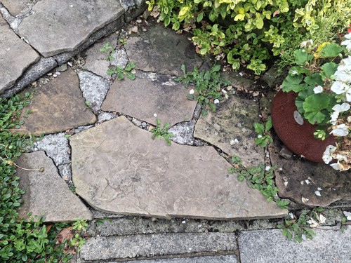Stone crazy paving walling - paving,