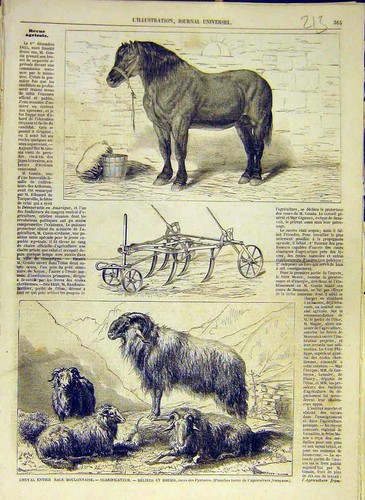 Original old antique print - original,