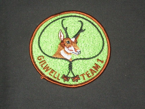 Wood badge antelope - antelope, gilwell