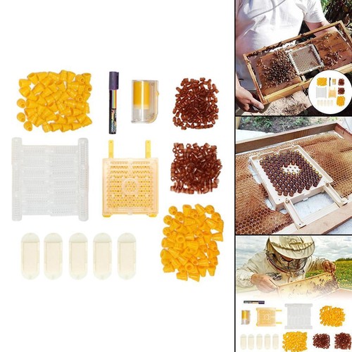 Queen bee rearing kit for - queen,