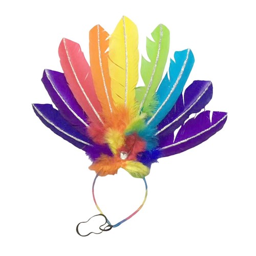 Carnival feather headdress - carnival,