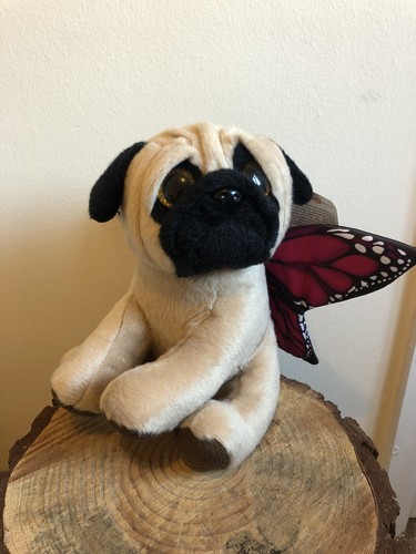 Gosh pugs and - and, kisses