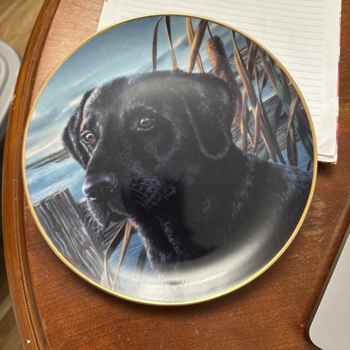 Man best friend plate - best,