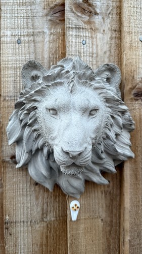 Stone lions head wall - , or