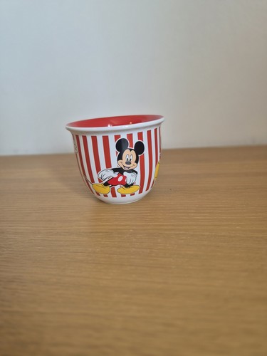 Disney land mickey mouse - land,
