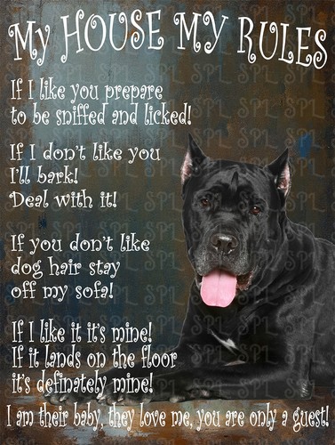 Cane corso house - my, rules