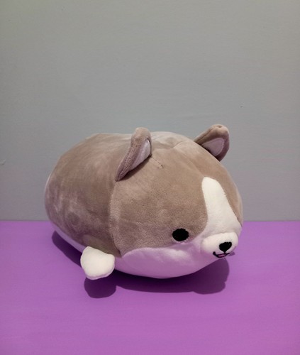 Brown and white - white, corgi