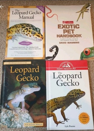 Leopard gecko care books 4 - x,